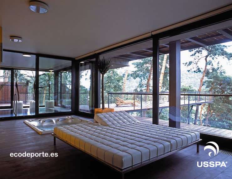 USSPA modelo DRACO, acabado Gypsum empotrado Foto de jacuzzi interior empotrado DRACO