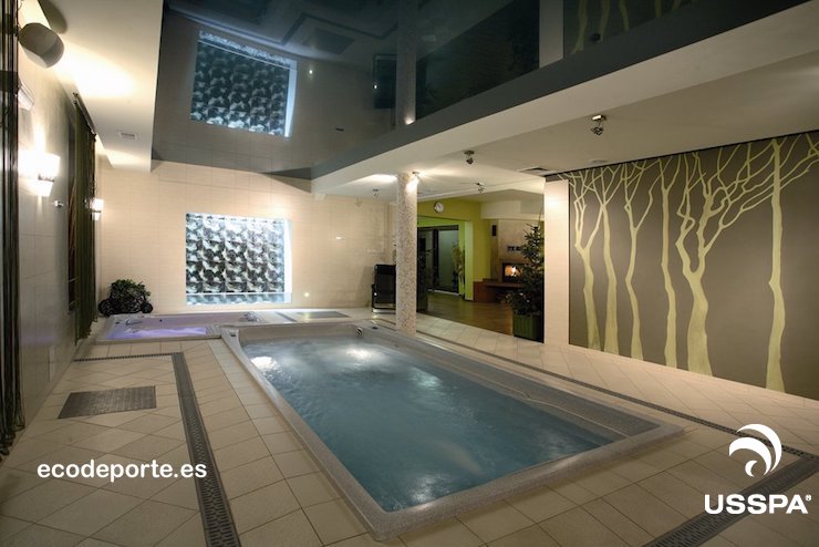 Decoración minimalista y techo de cristal en esta piscina climatizada Foto de SWIM SPA interior climatizado, con jacuzzi COMBI SPA a juego